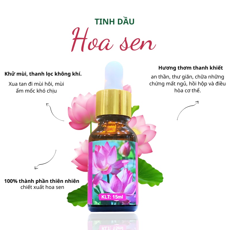Tinh dầu Hoa Sen essential oil giúp khử mùi, thơm phòng - 15ml