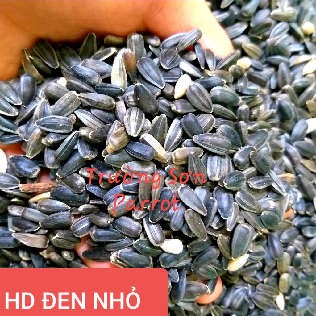 500g/ 1000g hạt hướng dương đen nhỏ (baby) cho chim vẹt, sóc, hamster....