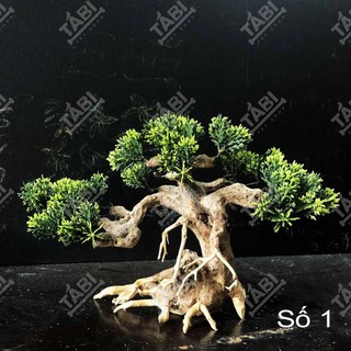 🌲 Cây Lũa Bonsai Thủy Sinh [Gỗ Lũa Thật Gắn Lá Nhựa]