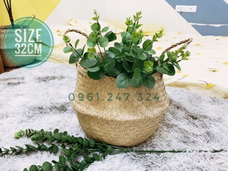 Giỏ cói size 20 25 30