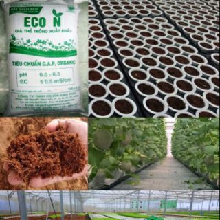 Xơ dừa ươm cây đã qua xử lý ECO N1(1kg)