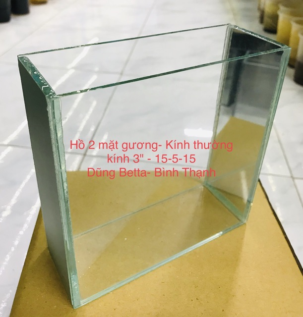 Hồ show cá Betta guppy