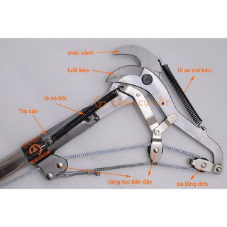 KÉO CẮT CÀNH TRÊN CAO GT577