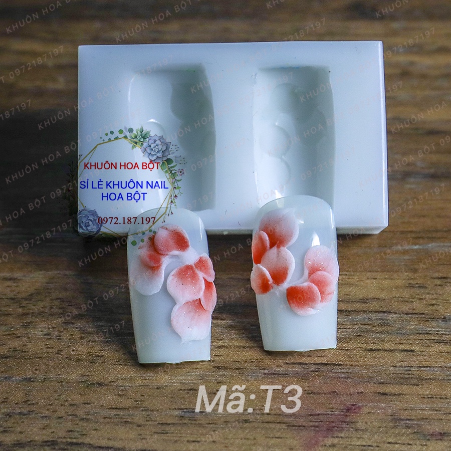 Khuôn hoa nail, khuôn móng chân