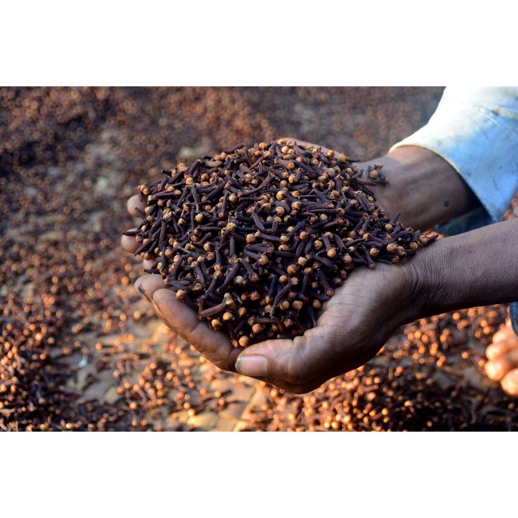 Bột Nụ Đinh Hương-Cloves ground