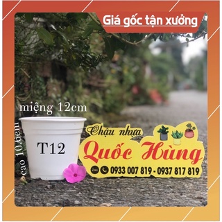 [Sỉ từ 30 cái ] Chậu nhựa trắng ( 12cm x10.6cm)chậu Quốc Hùng trồng sen đá- xương rồng - cây mini