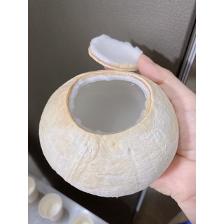 Dừa xiêm bến tre gọt tiện lợi