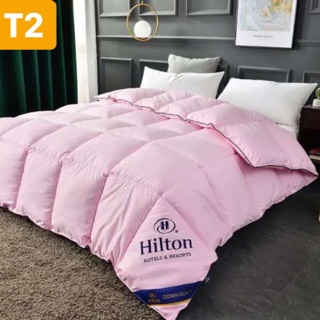 Ruột chăn lông vũ nhập khẩu hinton 2m*2m3