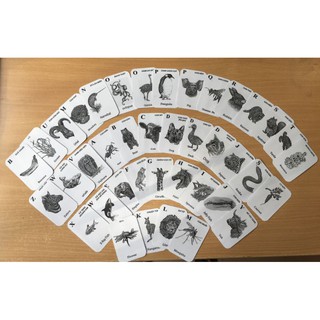 [Siêu Khuyến Mãi] Full Box 40 Thẻ Animal 4D (Động Vật 4D) tặng kèm 5 Thẻ Khám Phá Không Gian cho Bé vừa chơi vừa học.