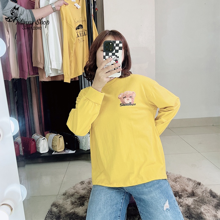 Áo phông nữ dài tay form rộng, áo thun nữ hàng Quảng Châu L1 Mã AP175