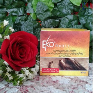 Kem ngừa mụn, thâm, se khít lỗ chân lông,chống nắng, giúp tái tạo EKO PERFECT 9g/15g/30g/50g