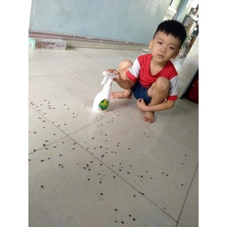 Bình xịt diệt ruồi bách việt