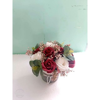 chậu hoa sáp babi khô để bàn