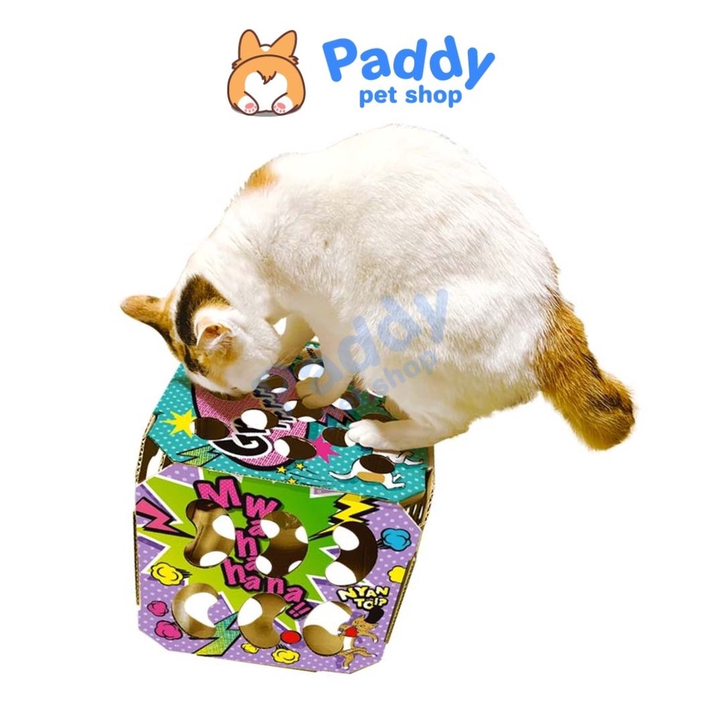 Hộp Đồ Chơi Xí Ngầu Giấy CattyMan Cho Mèo 25x25cm