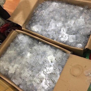 Combo 10 móc dán thần thánh 🌿🌿🌿