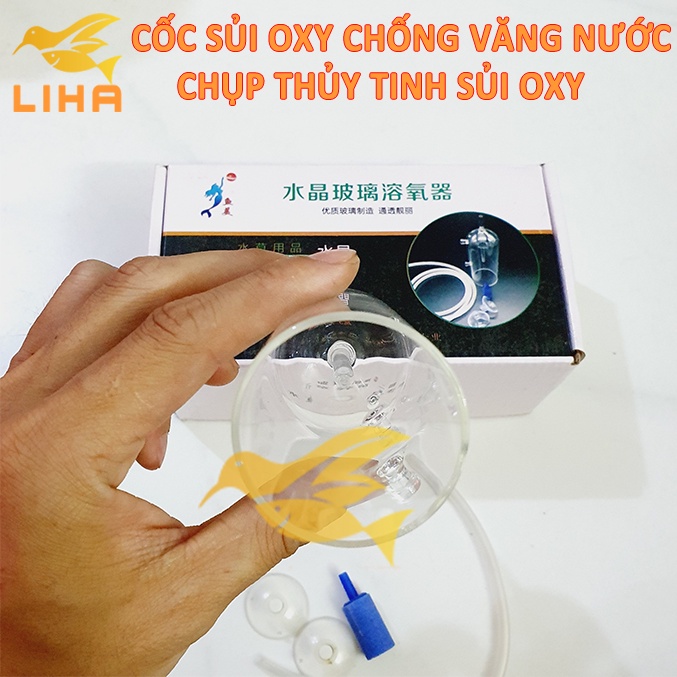 Cốc Sủi Oxy Thuỷ Tinh Chống Văng Nước - Sủi oxi Cho Bể Cá