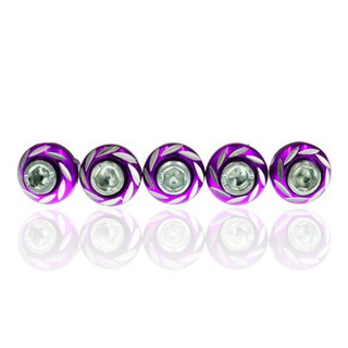 Ốc vít M6 gắn biển số xe máy