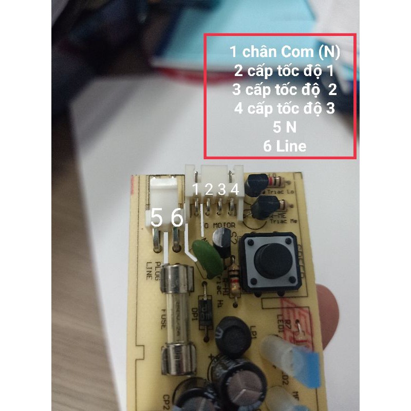 bo quạt treo trần hatari tháo máy | BigBuy360 - bigbuy360.vn