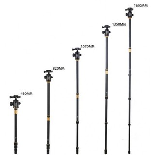 Chân máy ảnh Beike Professional Q-999H