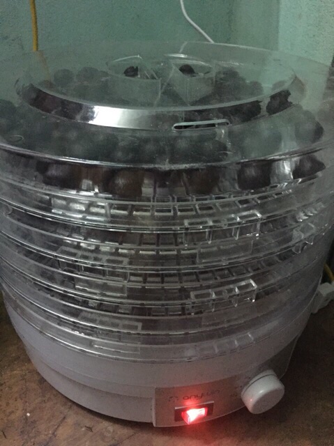 Viên hà thủ ô mật ong (đảm bảo ATVSTP) cải thiện tóc bạc sớm, rụng tóc, bạc sớm
