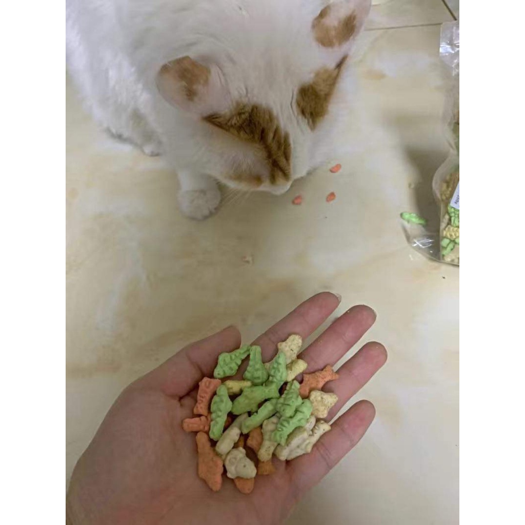 Bánh thưởng, bánh quy cá catnip cho chó, mèo,hamster,...