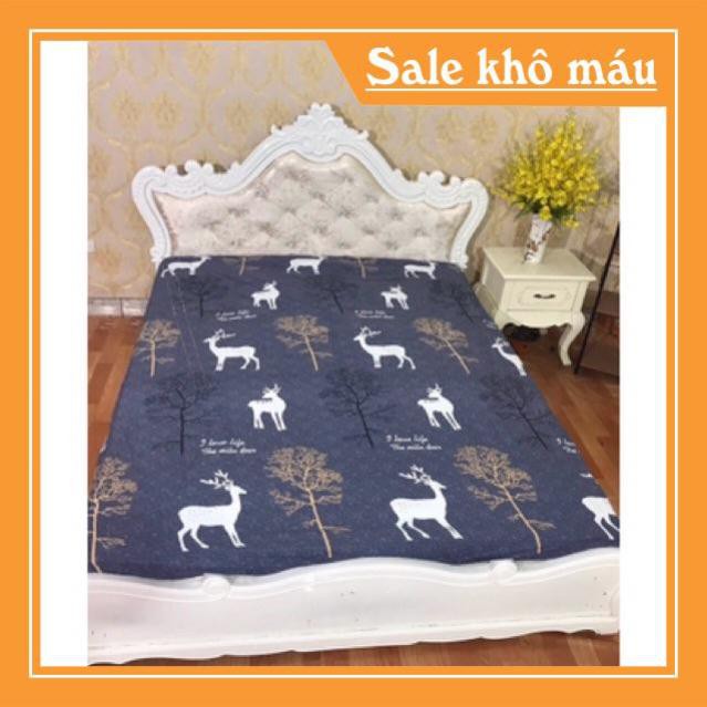 FREESHIP - SIÊU GIẢM GIÁ - Ga chống thấm Cotton cao cấp loại 1 -HCM