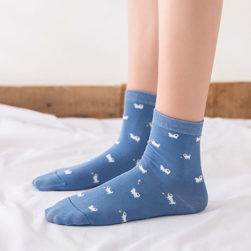 Set 3 đôi vớ nữ cổ cao hàn quốc xanh trẻ trung cao cấp Muzini TN93