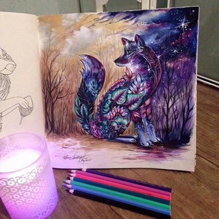 Tranh tô màu cho người lớn 96 trang