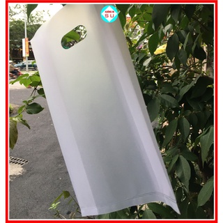 [20 Túi] Túi Hột Xoài PE Mờ