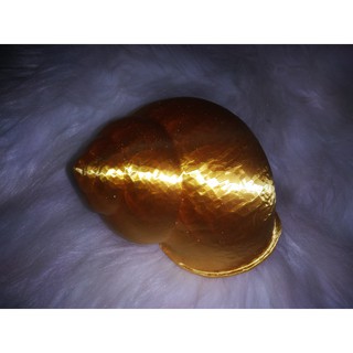 VỎ ỐC MƯỢN HỒN - TRƠN - IN 3D - SIZE LỚN - Hermit crab shell