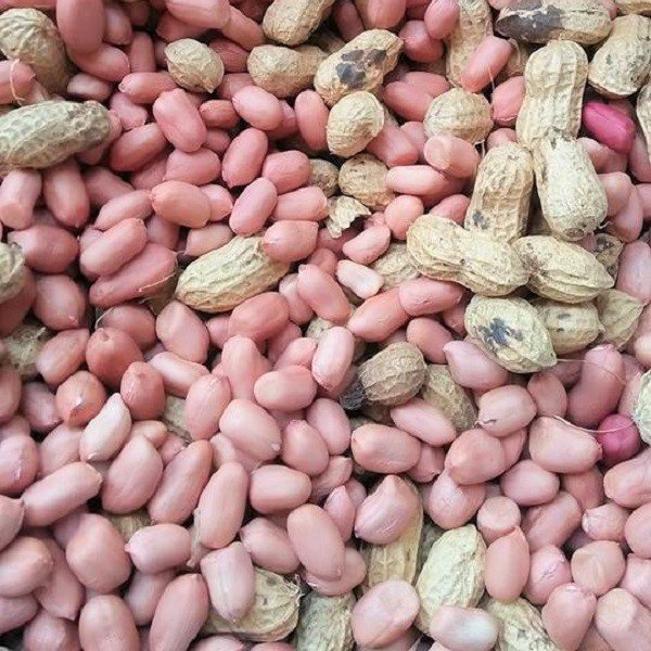 1KG ĐẬU PHỘNG NHÂN SỐNG LẠC NHÂN NHÀ TRỒNG THƠM NGON BÉO NGẬY