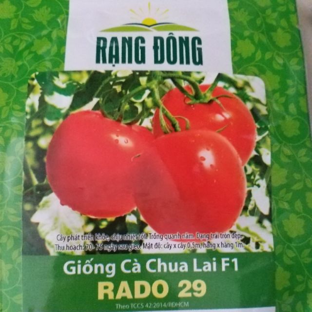 Hạt giống cà chua lai F1