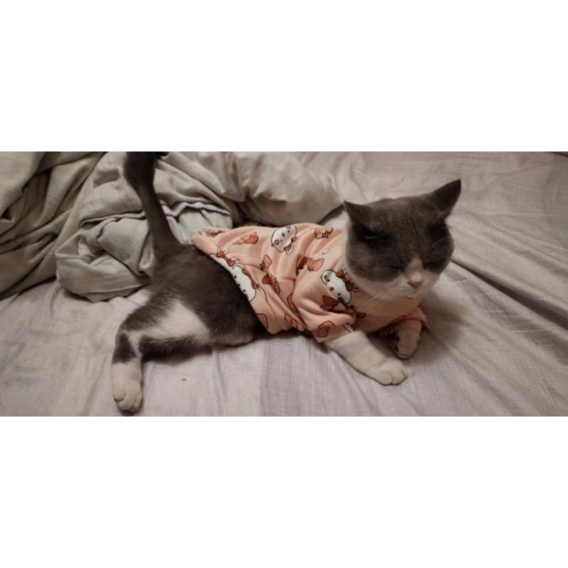 ÁO NỈ CHÓ MÈO 1-8KG