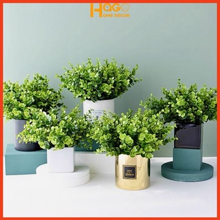 Cây giả, chậu cây lá kim tiền 20cm cắm sẵn trang trí nhà cửa xanh mát