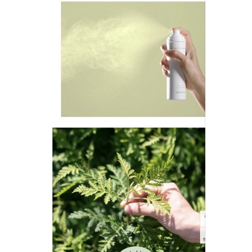 (Mẫu mới) Nước cân bằng xịt ngải cứu innisfree 120ml | BigBuy360 - bigbuy360.vn