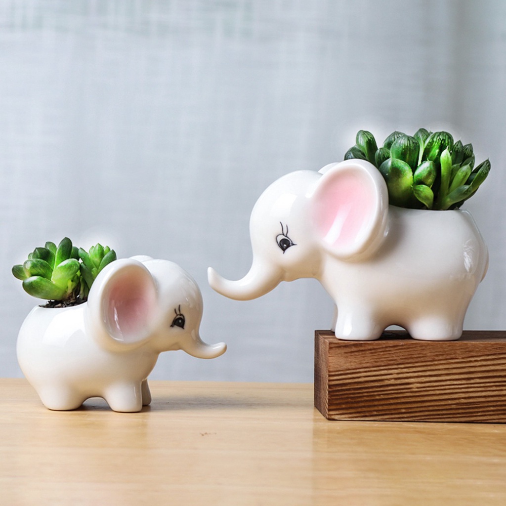 Chậu Trồng Sen Đá Xương Rồng Hình Voi Sứ Cao Cấp Có Lỗ Thoát Nước Cực Xinh