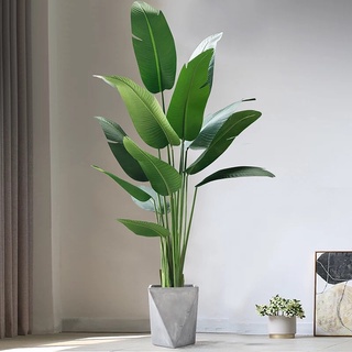 Cây chuối giả 2m