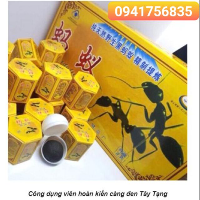 Kiến càng đen tuyệt hảo