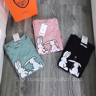 Bộ mặc nhà chất cotton siêu kute