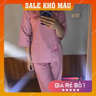 Bộ đi lễ chùa