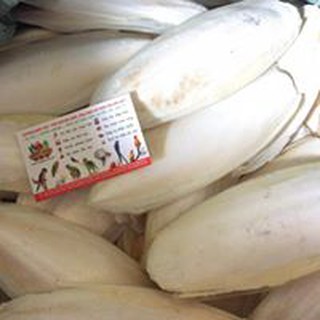 Nang mực túi 500g