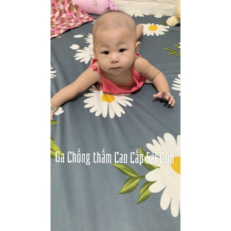 GA CHỐNG THẤM COTTON THUN NANO KHÁNG KHUẨN LAU LÀ SẠCH