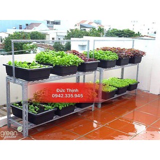 thẳng 2tầng C0,8mxD0,9m 2 bộ nối tiếp nhau bộ trở nên , kệ để rau , giá trồng rau sạch , lắp ráp , thông minh,đa năng .