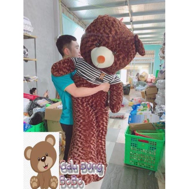 [BOBO] Gấu Teddy Cao Cấp 💖 FREESHIP 💖 Gấu Bông Teddy Khổ Vải 1M,1M1,1M3,1M45,1M65 Hàng VNXK Chất Đẹp