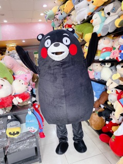 MASCOT GẤU KUMANON (ảnh thật)