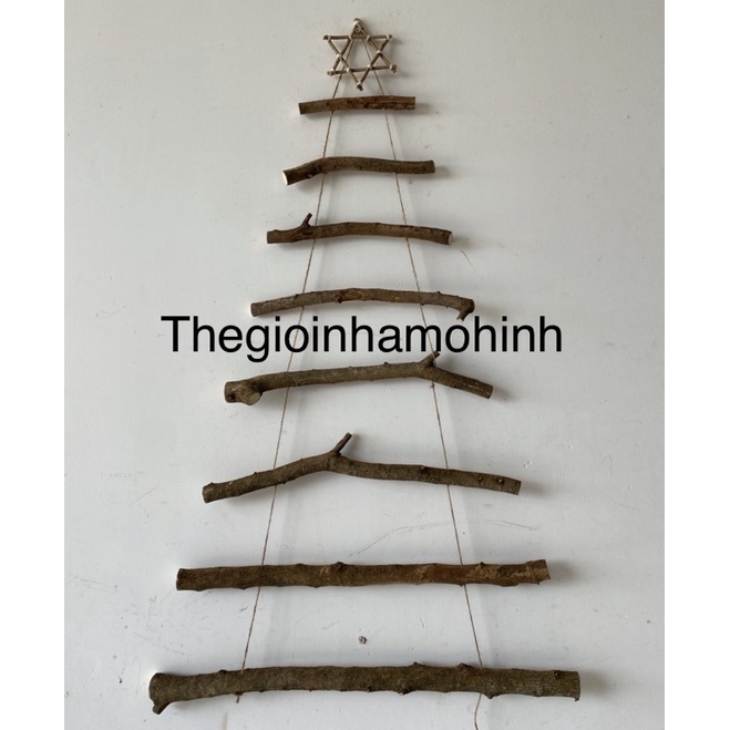 Cây thông từ cành cây khô, cành to chắc chắn