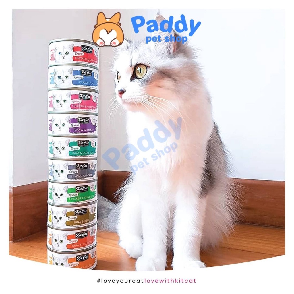 Pate Mèo Kit Cat Sốt GRAVY - Lon 70g (Nhập Khẩu Singapore)