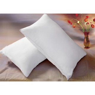 Ruột gối ép hơi Hàn Quốc (1 đôi)