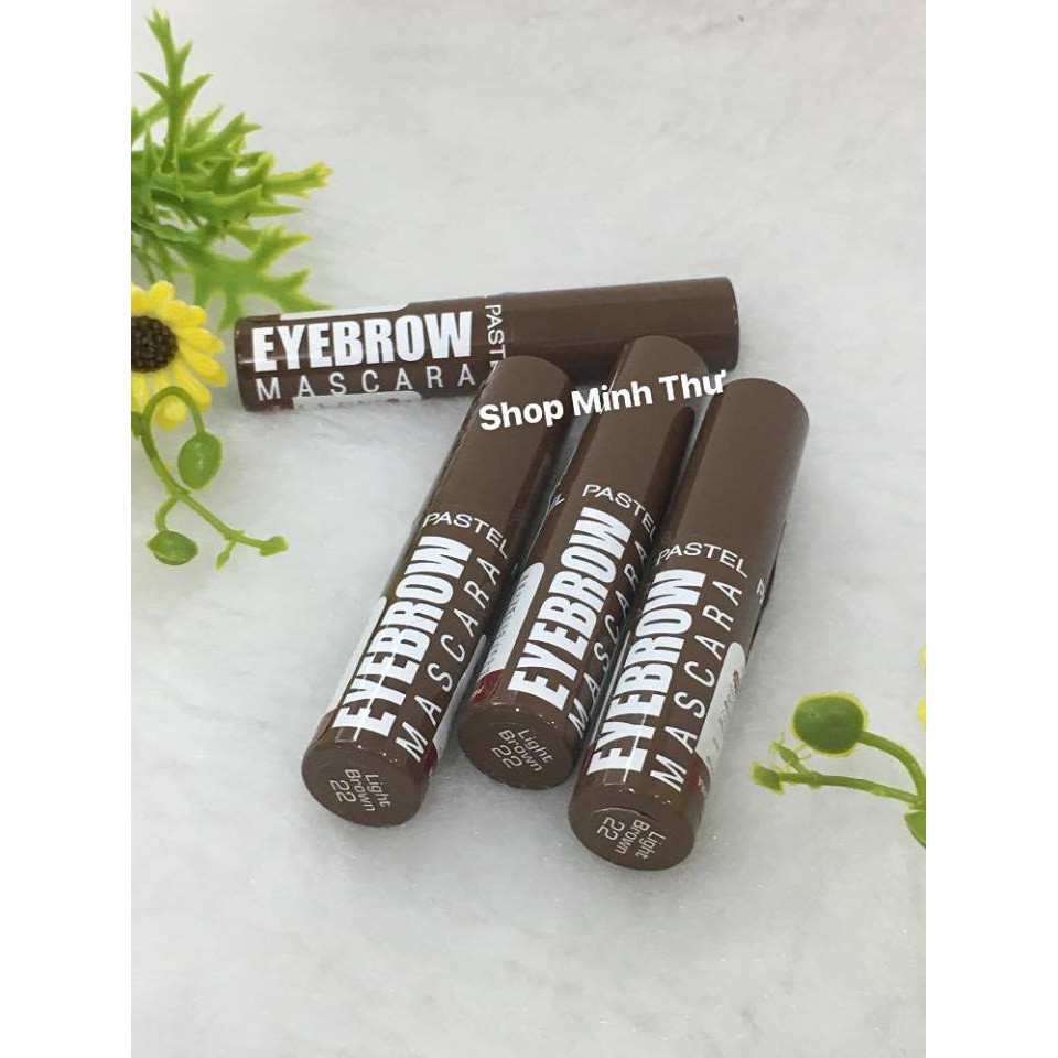 MASCARA LÔNG MÀY PASTEL PROFASHION EYEBROW CHÍNH HÃNG - 3949