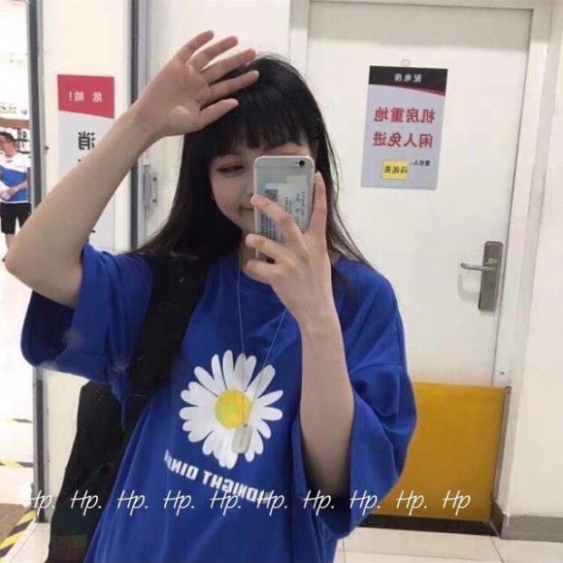 (TRÙM SỈ) Áo thun nam ,Áo phông nam hàn quốc cao cấp đẹp giá rẻTCS MÃ SỐ HOA CÚC